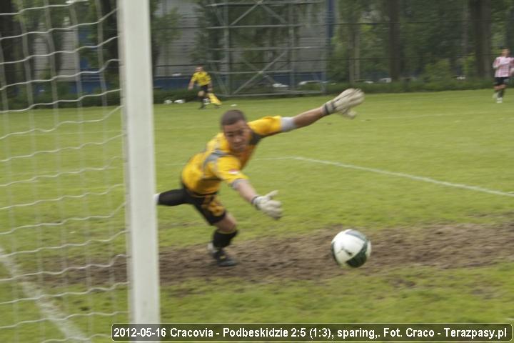 2012-05-16-cracovia-podbeskidzie-spar-14