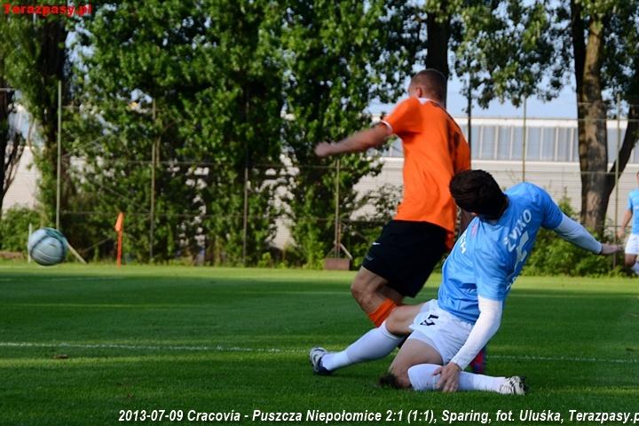 2013-07-09_Cracovia-Puszcza_Niepolomice_2692_720