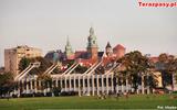 Stadion 2010-09-21_Budowa_Stadionu_Cracovii_57_600